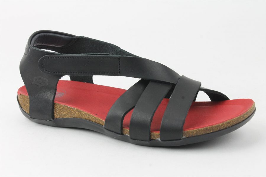 Varik Florida