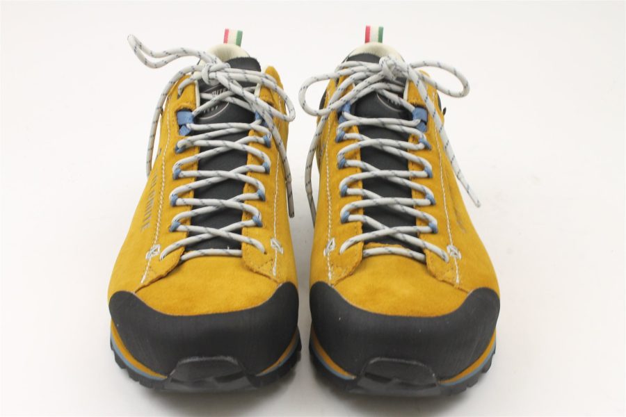 54 Hike low evo GTX M's