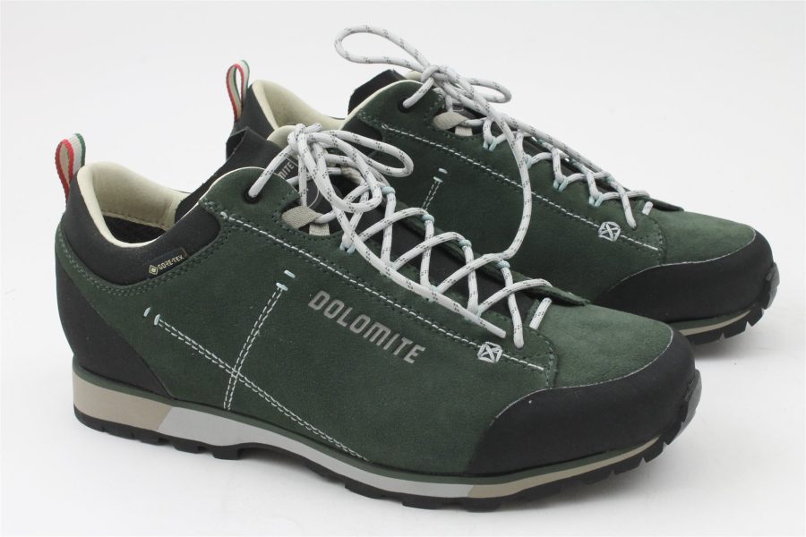 54 Hike low evo GTX M's