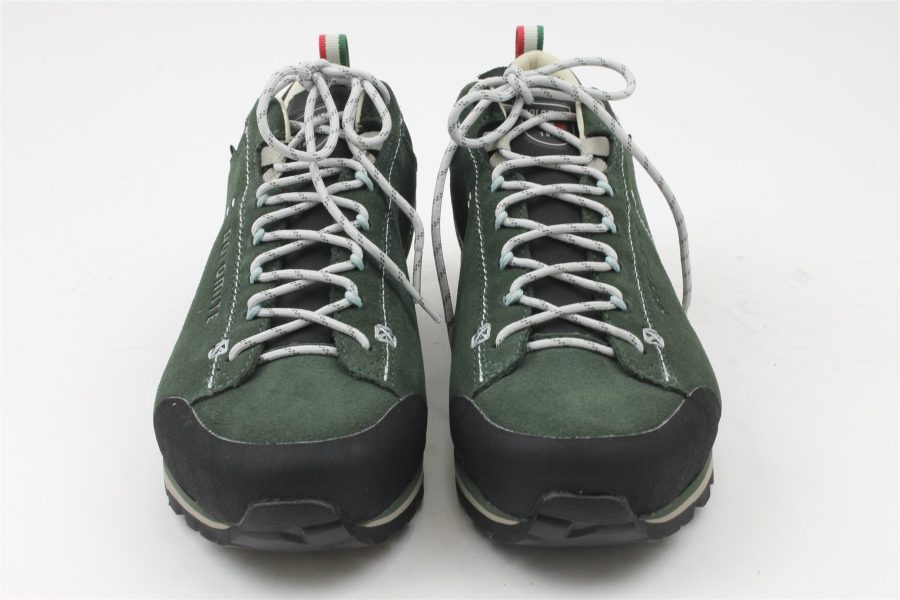 54 Hike low evo GTX M's
