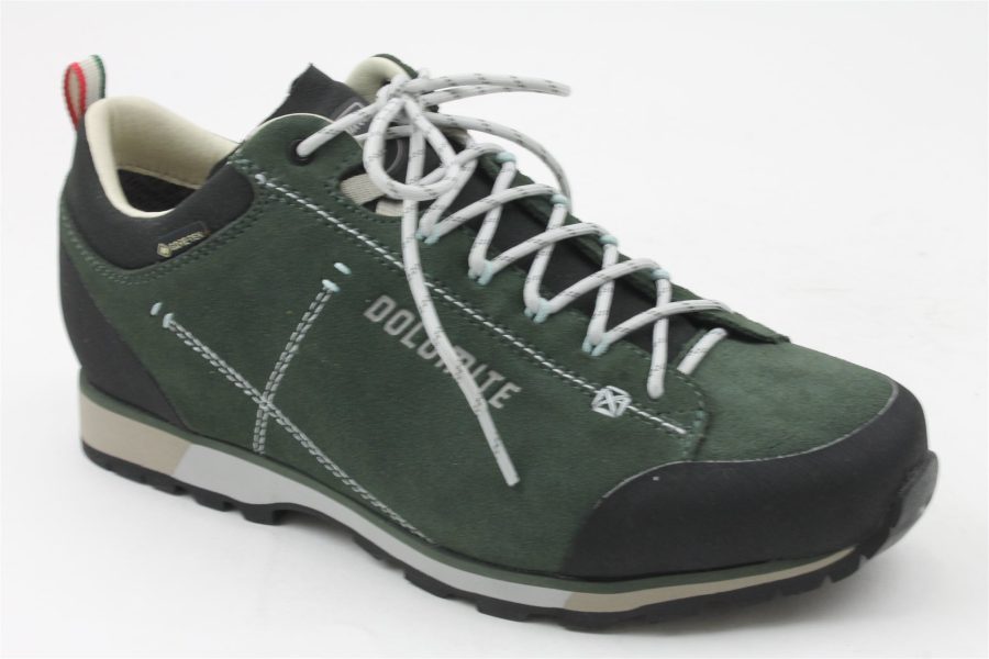 54 Hike low evo GTX M's